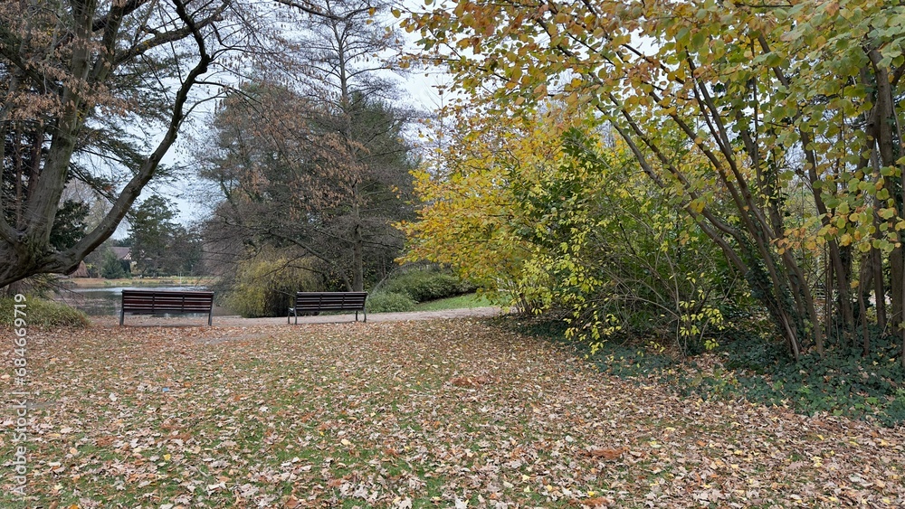 Beautiful park in Strasbourg France with lake and forest