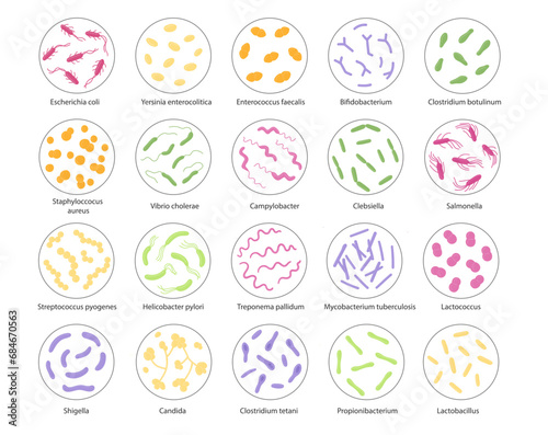 Set of bacteria in a magnifying glass. Vector illustration in doodle style photo