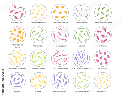 Set of bacteria in a magnifying glass. Vector illustration in doodle style