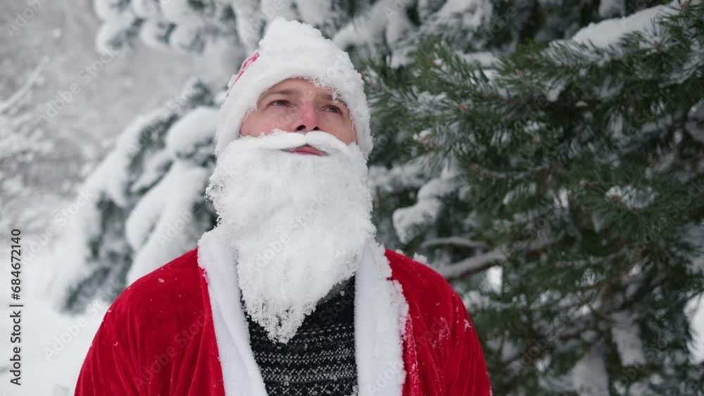Portrait of Santa Claus with White Beard. Father Christmas Walking at Winter Snowy Forest. Thoughtful Santa Delivering Presents to Congratulate People. Snow Covered Trees Background. New Year Holidays Portrait of Santa Claus with White Beard. Father Christmas Walking at Winter Snowy Forest. Thoughtful Santa Delivering Presents to Congratulate People. Snow Covered Trees Background. New Year Holidays