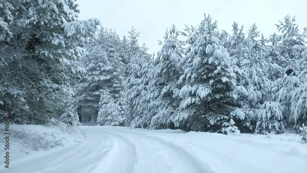 Driving Through a Snow-clad Forest. Magic Car Trip on the Road by Pine Forest Covered by Snow. Front View from Car Passenger Window. Winter Nordic Rural Landscape. Traveling. Cold Season. Snowy Wood. Driving Through a Snow-clad Forest. Magic Car Trip on the Road by Pine Forest Covered by Snow. Front View from Car Passenger Window. Winter Nordic Rural Landscape. Traveling. Cold Season. Snowy Wood.