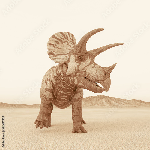 triceratops in the desert on the afternoon