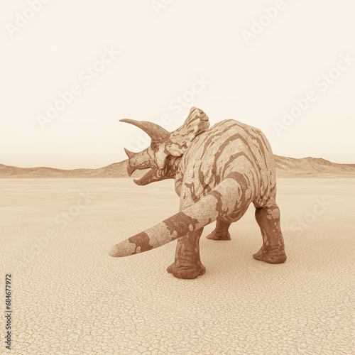 triceratops is looking for food in the desert on the afternoon rear view
