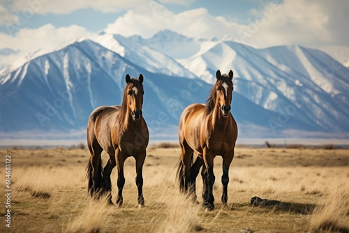 A pair of wild horses grazing in a vast and open meadow, with the backdrop of a distant mountain range.