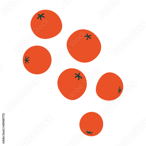 Sea Buckthorn Illustration