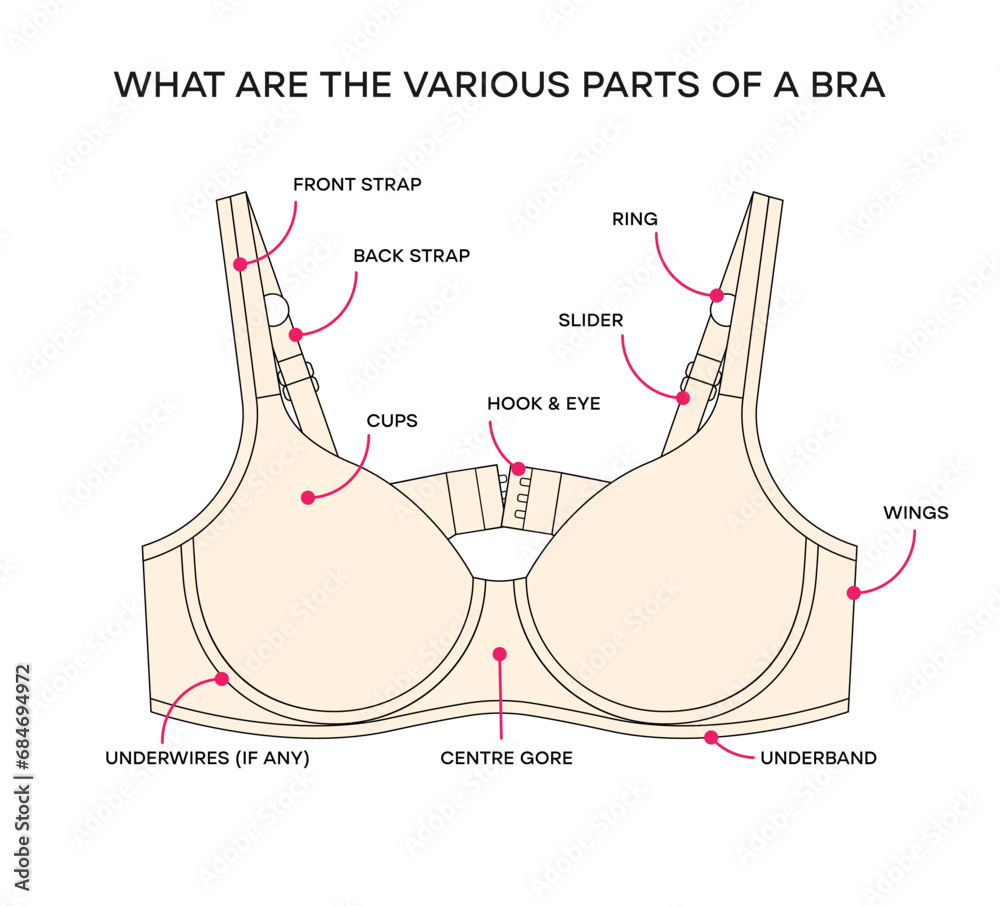 What are the various parts of a bra. Anatomy of a Bra, different Parts