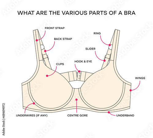 What are the various parts of a bra. Anatomy of a Bra, different Parts of a Bra. Vector bra infographic