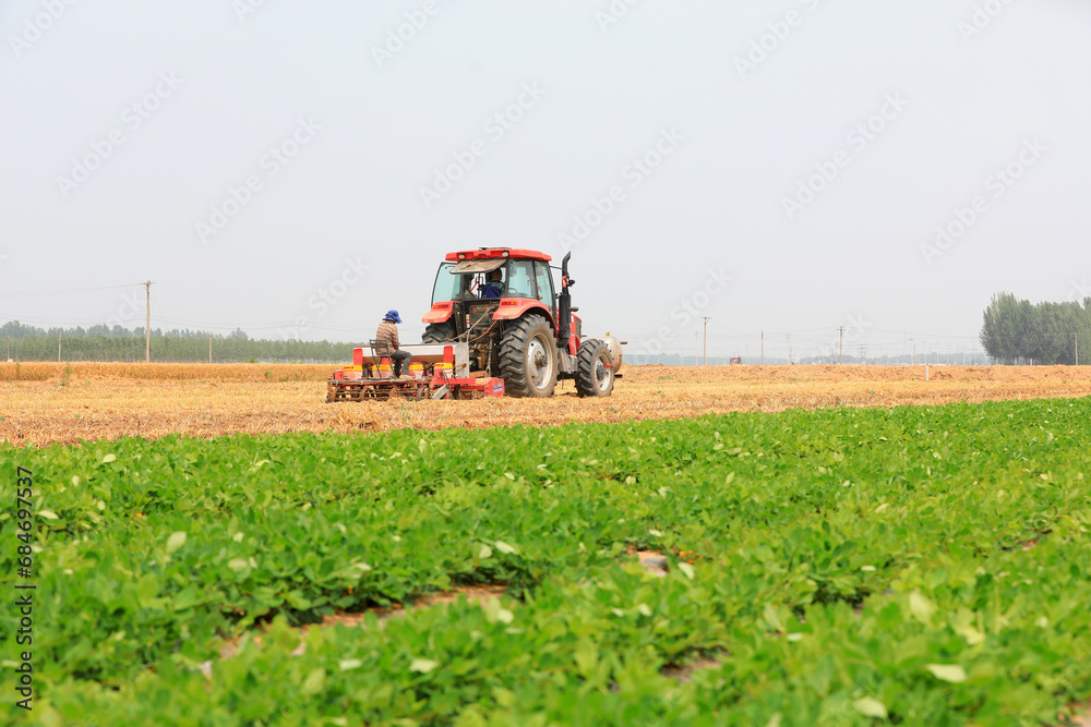 Fototapeta premium Farmers use seeders to plant summer corn, North China