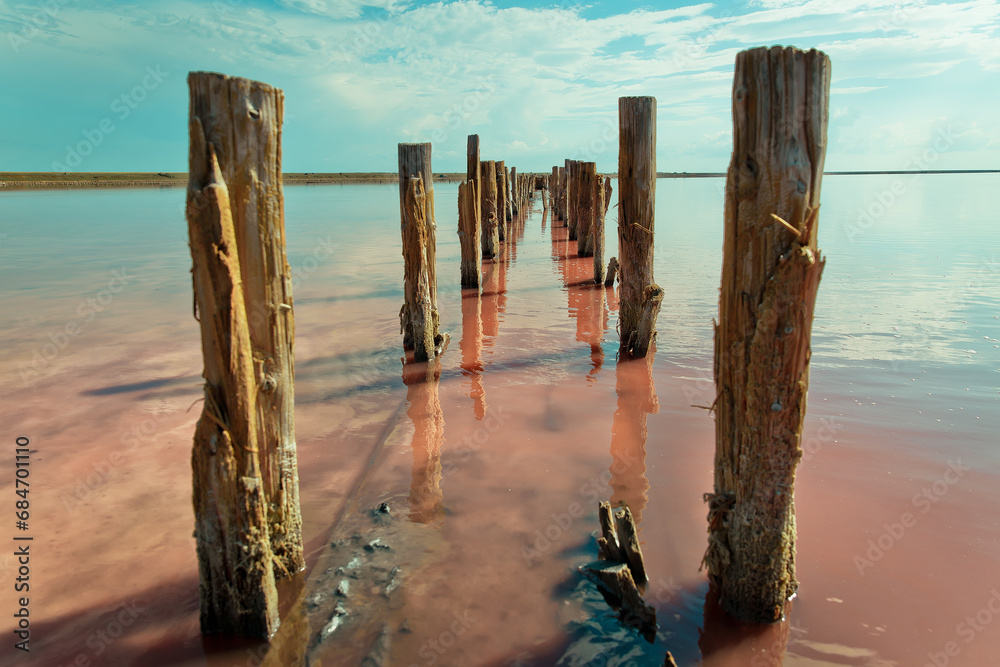 Salty pink lake in Ukraine on the Arabat Spit Salty pink lake in Ukraine on the Arabat Spit