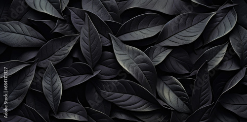 closeup nature view Black leaf and palms background. Flat lay, dark nature concept, tropical leaf. © Ruslan Gilmanshin