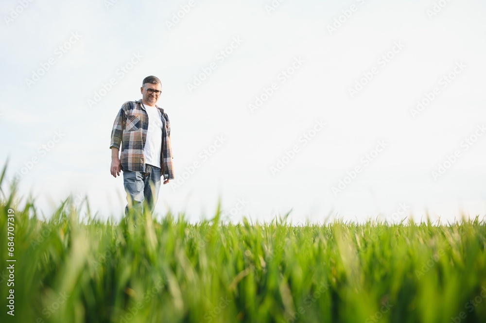 Portrait of senior farmer standing in wheat field examining crop during the day. Portrait of senior farmer standing in wheat field examining crop during the day.