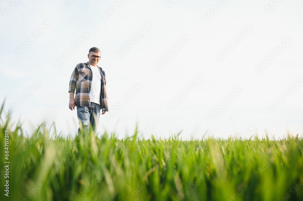 Portrait of senior farmer standing in wheat field examining crop during the day.