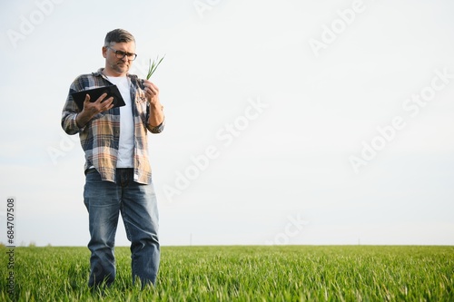 Portrait of senior farmer standing in green wheat field. © Serhii