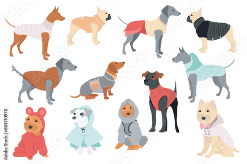 Fototapeta Naklejka Na Ścianę i Meble -  Cute dogs in canine clothes mega set in flat design. Bundle elements of different breeds puppies in funny winter coats, warm sweaters and other outfits. Vector illustration isolated graphic objects