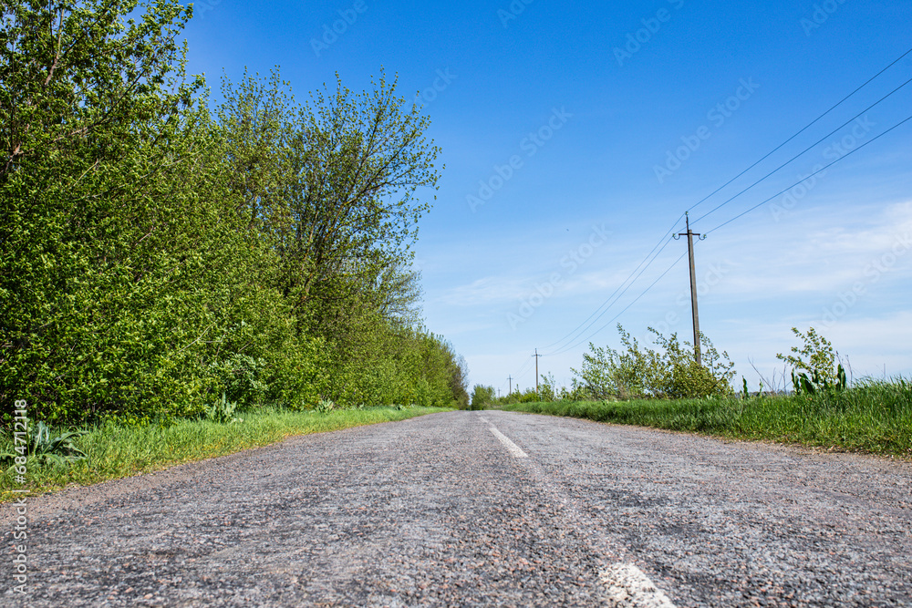 Empty country road near forest belt and poles with power line in summer in sunny weather