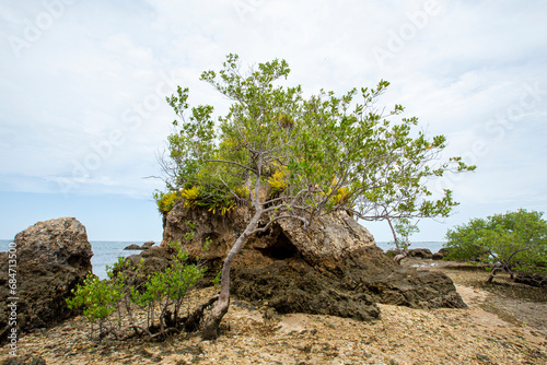 Praia de ilha com grandes rochas e vegetação nativa, no nordeste brasileiro