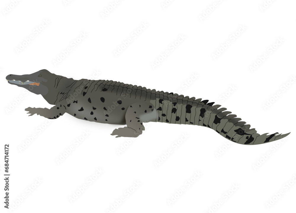 Naklejka premium descargar vectores de caiman