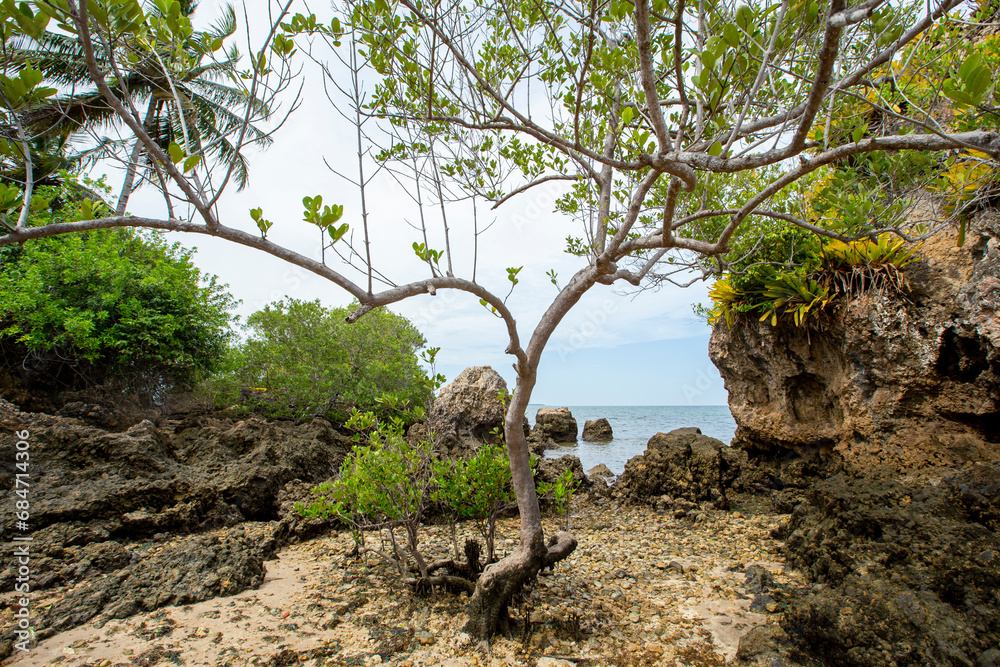 Fototapeta premium Praia de ilha com grandes rochas e vegetação nativa, no nordeste brasileiro