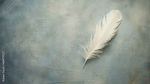 A lone feather delicately placed on a textured background, representing lightness and grace. photo