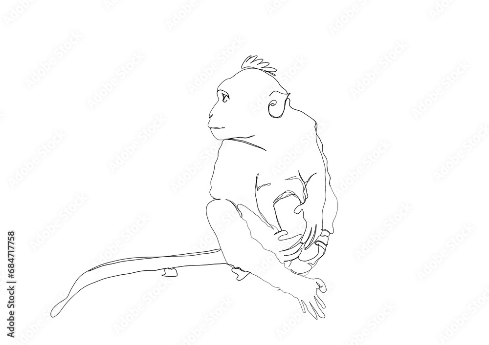 Fototapeta premium abstract single line art of white tailed macaque on transparent background clip art