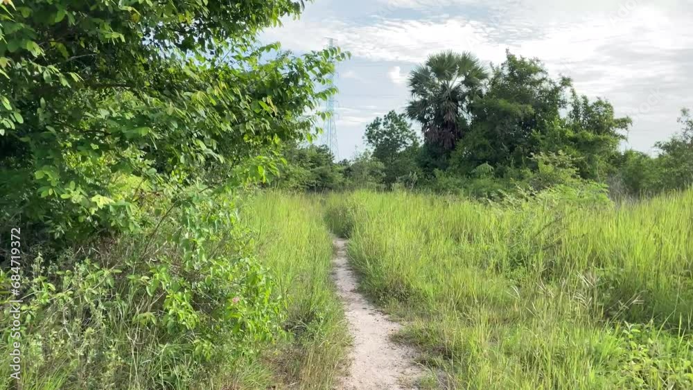 Aerial shot moving towards the pathway nature tree garden view sunny day blue sky.
