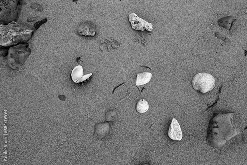Chão da praia em close up com textura de areia, conchas e pedregulhos photo