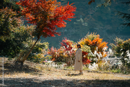 Autumn forest path. Orange ...