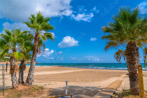 Palm trees Benicassim beach Spain Playa Voramar on Costa del Azahar Spanish tourist destination