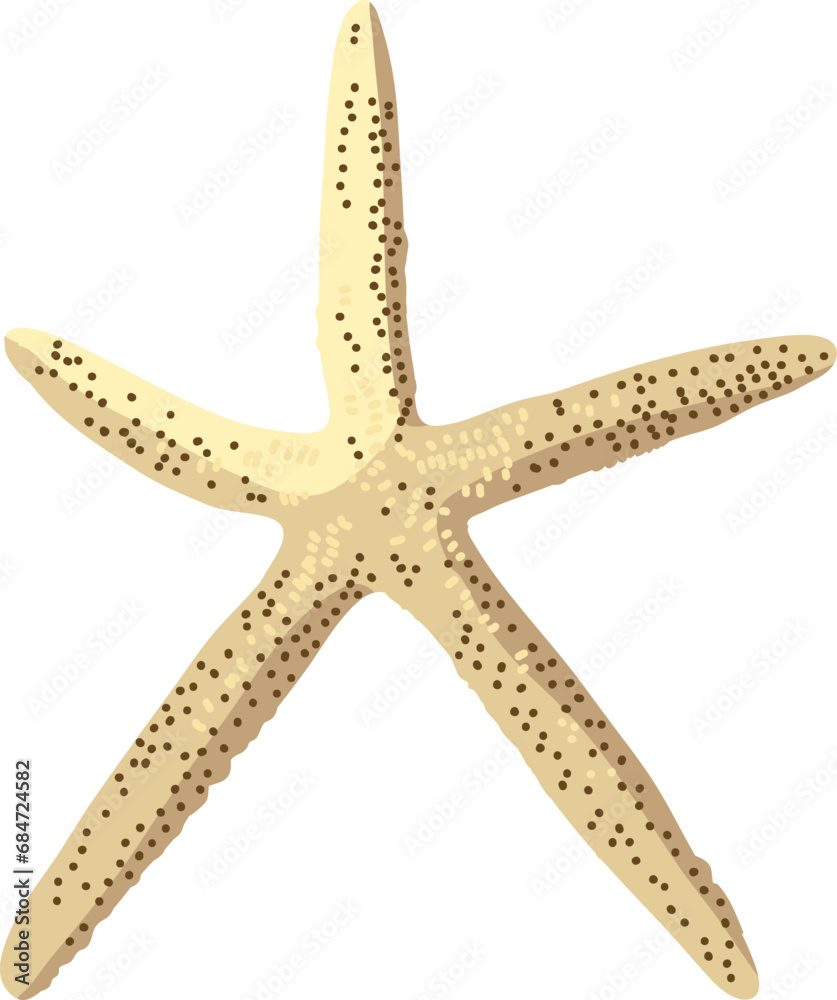 Starfish isolated. Vector illustration. Ocean resident starfish.