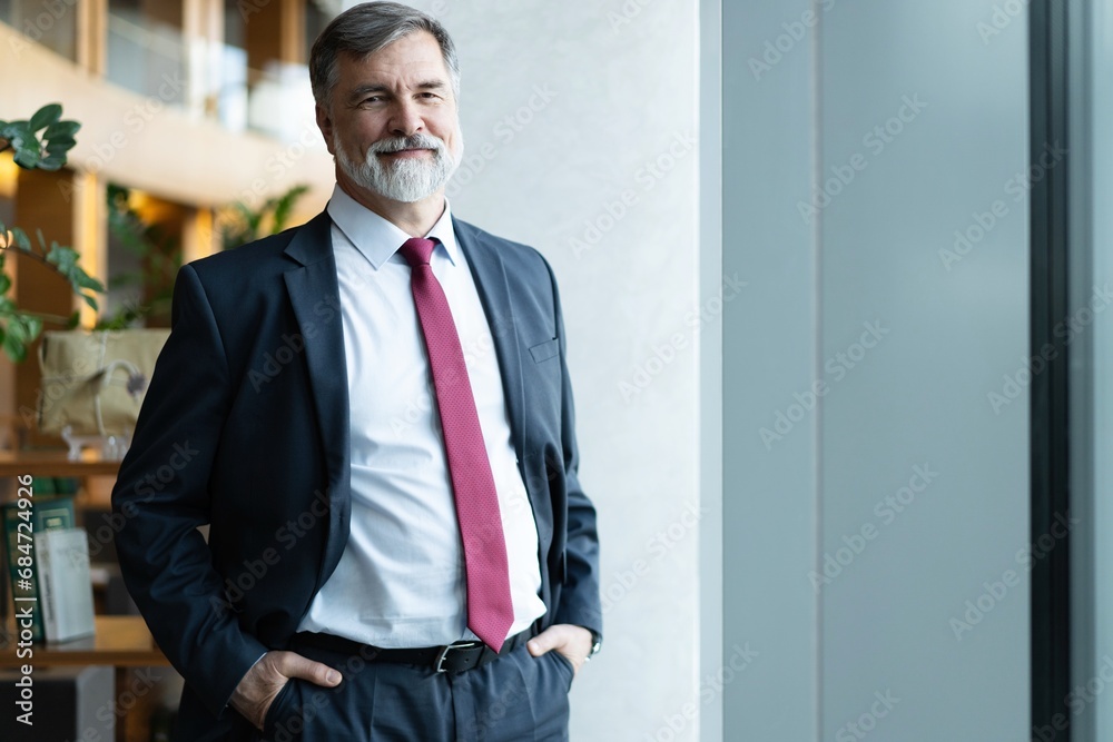 Portrait of a confident mature businessman standing in a modern office Portrait of a confident mature businessman standing in a modern office