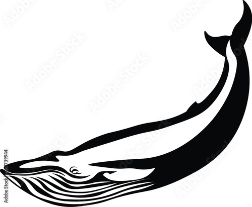 Canvas Print Cartoon Black and White Isolated Illustration Vector Of A Hump Back Blue Whale S