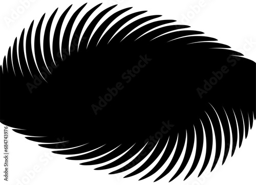 Black and white vector pattern of curved lines. Abstract seashell. Modern vector background.