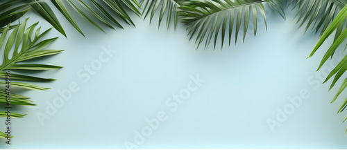 Template with Empty frame with green palm leaves on light background