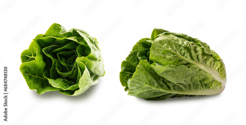 Obraz premium Fresh green Romaine lettuce (Lactuca sativa) isolated on a white background. Fresh green romaine lettuce isolated on white.