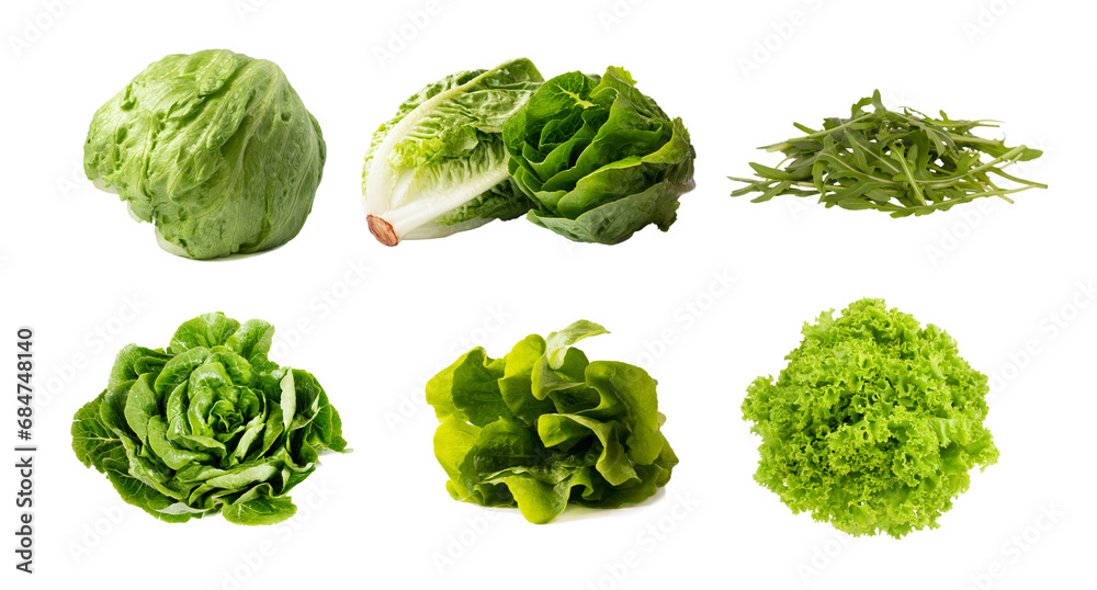Fototapeta premium A set of various lettuces. Cutout salads on a white background. Iceberg, Romaine, Curly lettuce, arugula isolated on white.