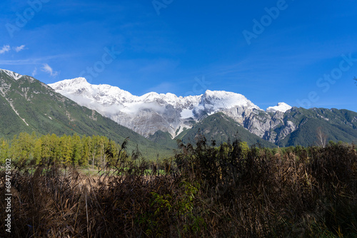 Alpine landscape with green bushes and snowcovered mountains in the background