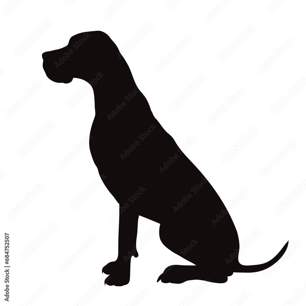 Vector silhouette of Great Dane on white background. Symbol of pet and breed.