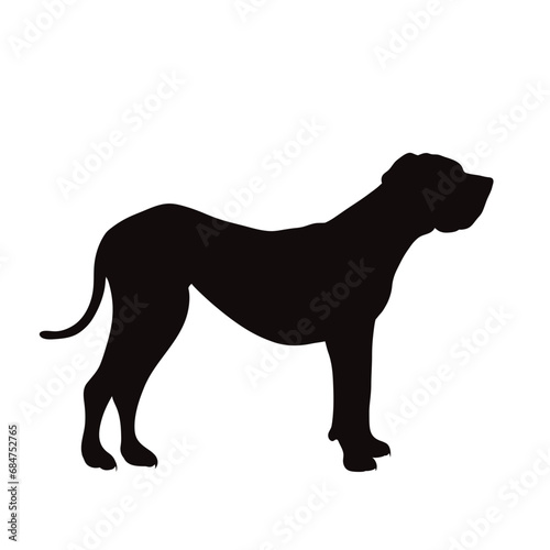 Vector silhouette of Great Dane on white background. Symbol of pet and breed.