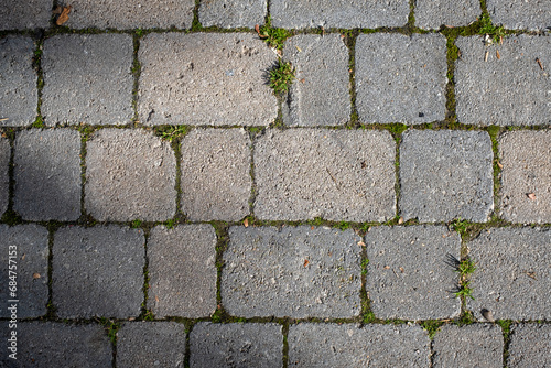 Floor texture in old gray blocks with grass between the grooves