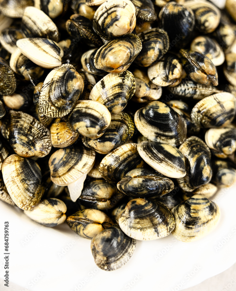 Close-up of a plate of clams ready to be cooked in the kitchen.