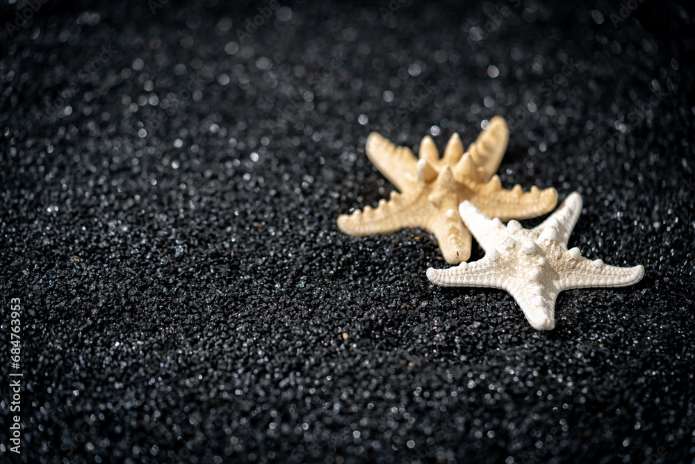 Symbolic tropical black sandy beach background, sea shells and starfish and empty space for product advertisement Montage of summer relaxation background Symbolic tropical black sandy beach background, sea shells and starfish and empty space for product advertisement Montage of summer relaxation background