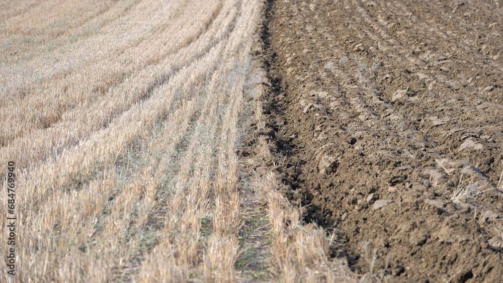 Brown ground in half ploughed field after harvest. Half plowed field wtih dry soil and half cultivated field with rapeseed. Brown ground in half ploughed field after harvest. Half plowed field wtih dry soil and half cultivated field with rapeseed.
