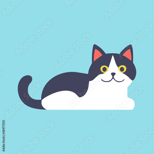 Vector illustration of a black and white cat lies peacefully on a bright blue background.