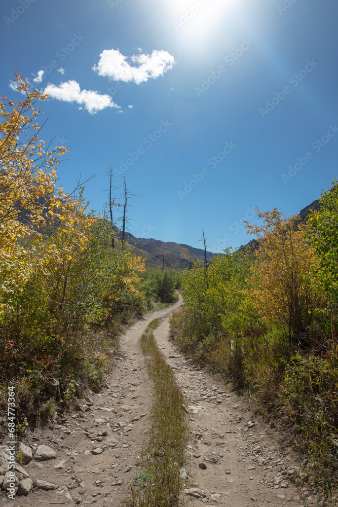 Obraz premium Four wheel drive road [Medano Pass primitive road] through the Sangre De Cristo range of the Rocky Mountains in Colorado United States