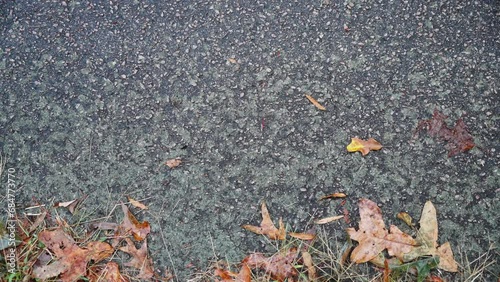 Leaves laying on asphalt street with moss growing