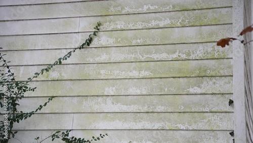 Side of Old run down building with moss and tree in foreground