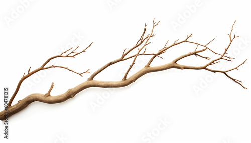 Dry twig isolated on white background