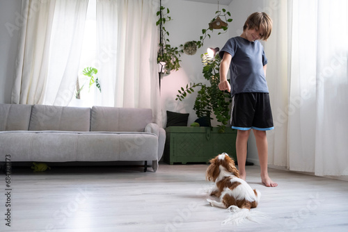 boy, 10 years old, dark hair, plays with dog at home. cute puppy cavalier king charles spaniel. Kid plays with cute puppy.