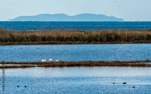 Bild auf Leinwand Scenic sight in Tarquinia salt flats natural reserve