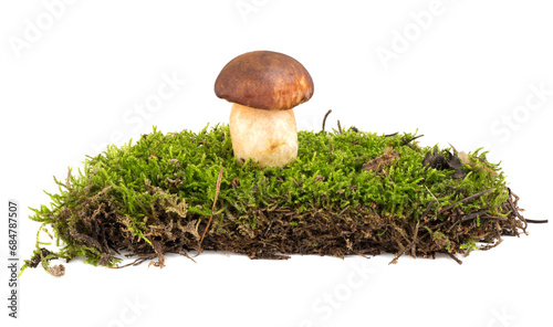 Heap of green moss and mushroom isolated on white background.
